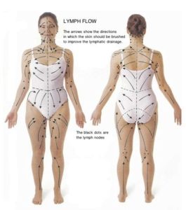 A chart we use for our lymphatic massages in Atlantic, GA